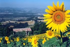 nome immagine 2